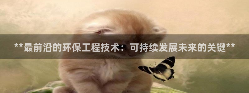 彩名堂是不是不能用了吗：**最前沿的