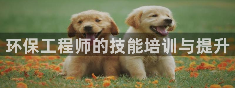 彩名堂苹果客户端：环保工程师的技能培