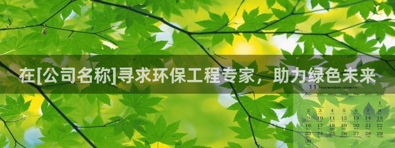 彩名堂官网在线计划：在[公司名称]寻