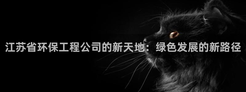 彩名堂官方软件下载：江苏省环保工程公司的新天地：绿色发展的新