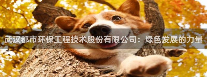 彩名堂app彩名堂客户端：武汉都市环保工程技术股份有限公司：