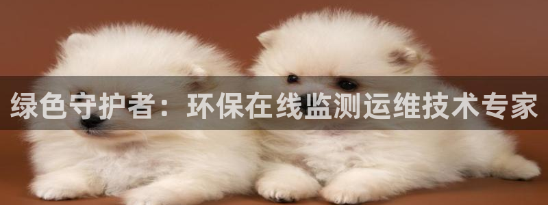 彩名堂安卓客户端官网：绿色守护者：环保在线监测运维技术专家
