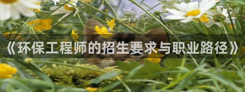 彩名堂上推荐的几个平台怎样：《环保工程师的招生要求与职业路径