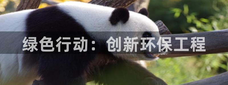 彩名堂不能用了吗：绿色行动：创新环保