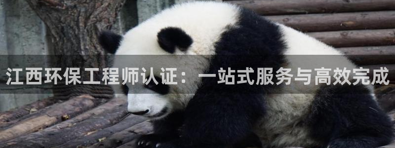 彩名堂免费计划官网怎么进不去了呢：江