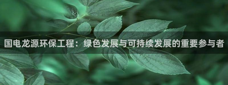 彩名堂预测免费计划：国电龙源环保工程