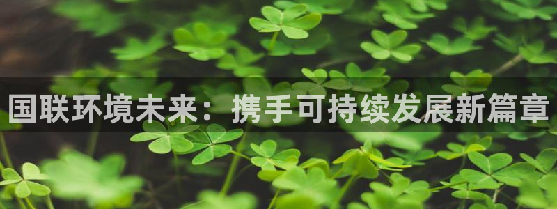 彩名堂是不是坑人的：国联环境未来：携
