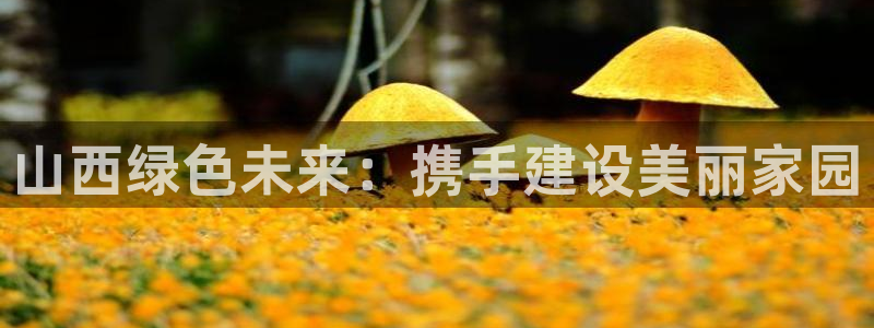彩名堂975新版本：山西绿色未来：携