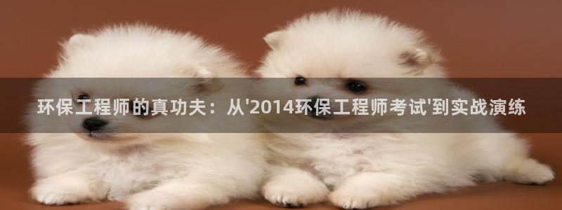 彩名堂官方软件下载：环保工程师的真功