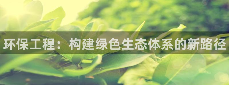 老版本彩名堂计划软件：环保工程：构建绿色生态体系的新路径