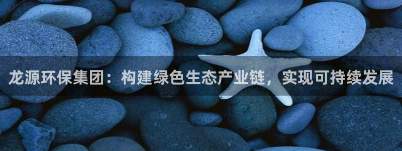 彩名堂手机客户端怎么进不去了:龙源环