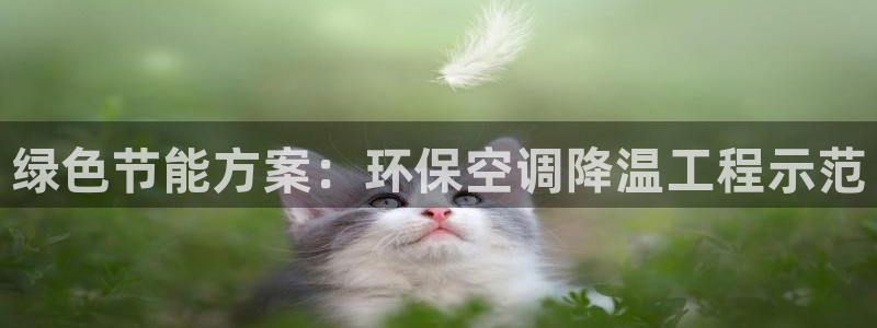 彩名堂用不了:绿色节能方案:环保空调