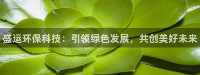 彩名堂使用方法:盛运环保科技:引领绿