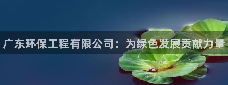 彩名堂是什么:广东环保工程有限公司: