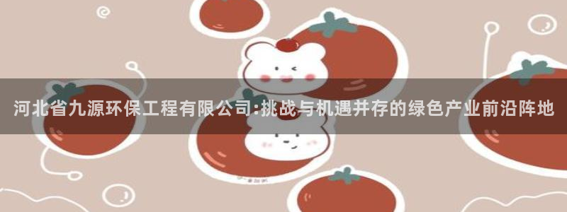 彩名堂计划怎么看:河北省九源环保工程