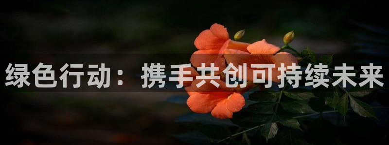 彩名堂怎么买准确率高：绿色行动：携手共创可持续未来