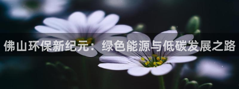 彩名堂是不是坑人的：佛山环保新纪元：绿色能源与低碳发展之路