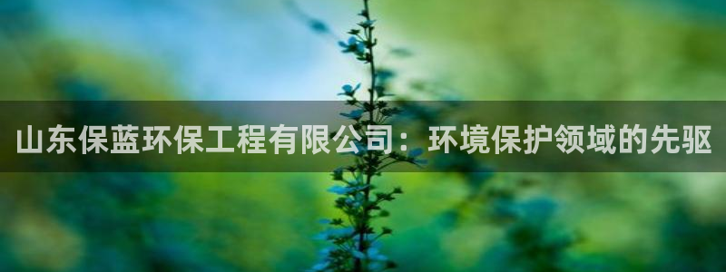 彩名堂客服：山东保蓝环保工程有限公司：环境保护领域的先驱