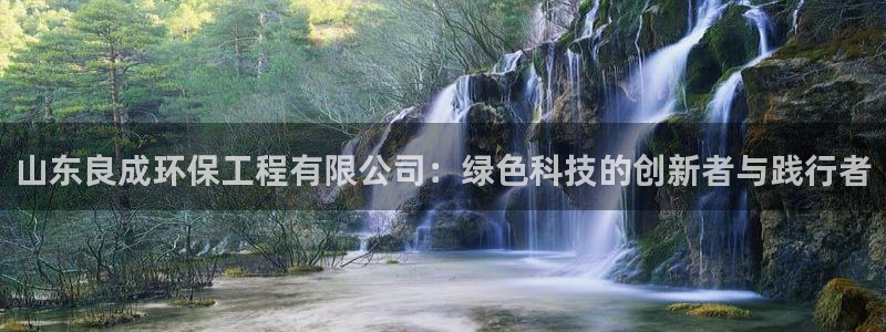 彩名堂是正规的公司吗：山东良成环保工