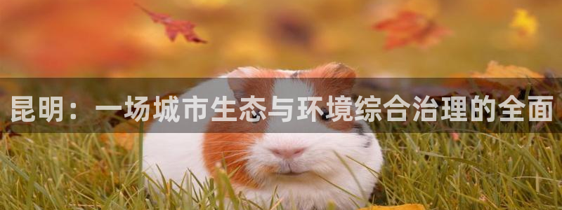 彩名堂最新预测3d：昆明：一场城市生