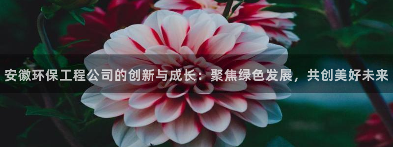 彩名堂客户端是永久免费吗是真的吗：安徽环保工程公司的创新与成