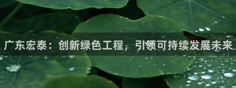 下载彩名堂预测计划软件：广东宏泰：创新绿色工程，引领可持续发