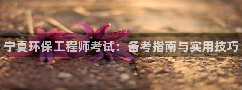 彩名堂计划怎么看：宁夏环保工程师考试