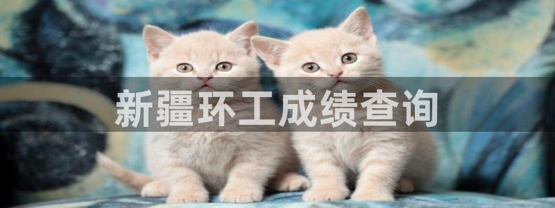 彩名堂首页：新疆环工成绩查询