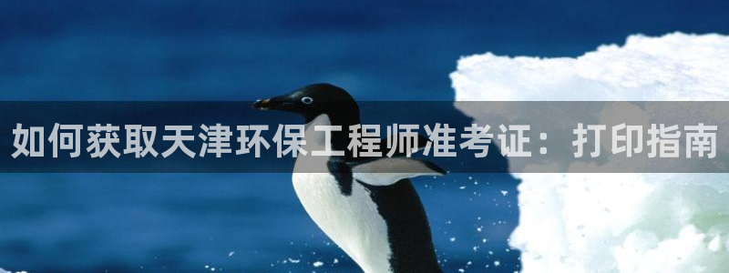 彩名堂使用方法：如何获取天津环保工程师准考证：打印指南