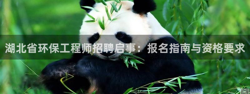 彩名堂改名稻草人了吗：湖北省环保工程