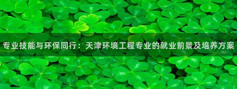 彩名堂官网计划怎么下载：专业技能与环