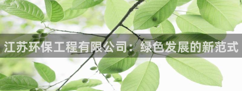 彩名堂5.0版计划怎么用不了：江苏环