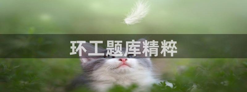 彩名堂好用还是千里马好用一点：环工题