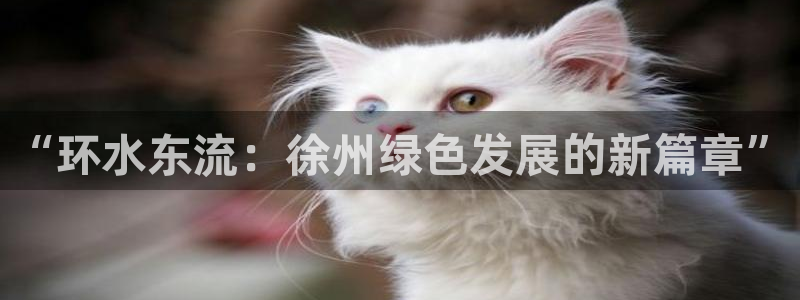 彩名堂改名稻草人了吗：“环水东流：徐