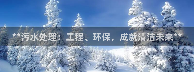 彩名堂官网谁有：**污水处理：工程、环保，成就清洁未来**