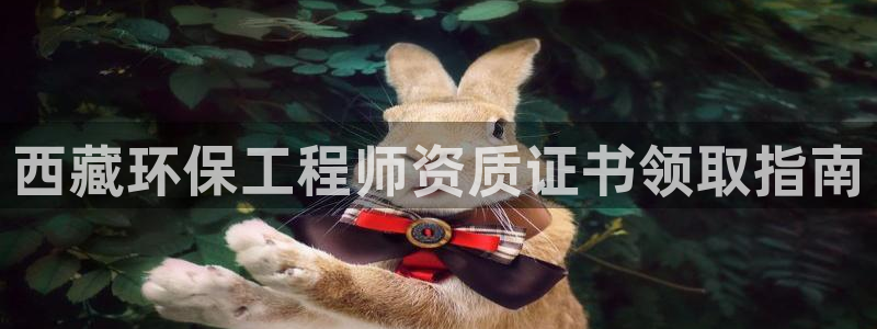 彩名堂3d：西藏环保工程师资质证书领