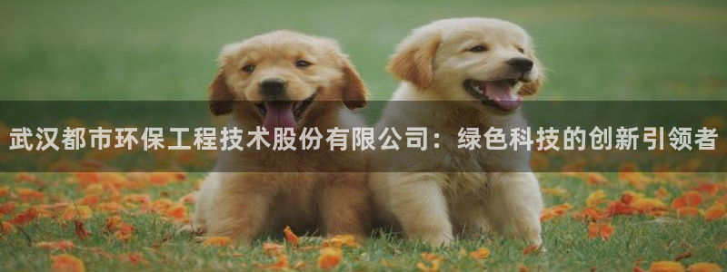 彩名堂怎么样：武汉都市环保工程技术股
