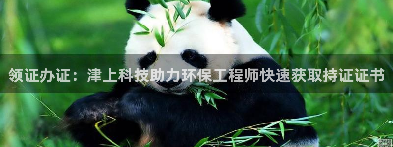 彩名堂拼音怎么拼：领证办证：津上科技