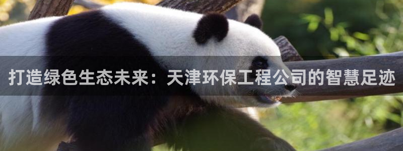 彩名堂人工预测免费计划：打造绿色生态未来：天津环保工程公司的智慧足迹