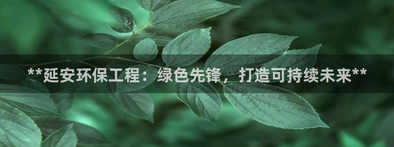 彩名堂怎么跟计划才不连挂：**延安环