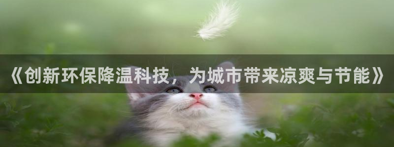 彩名堂app官方网址是多少：《创新环