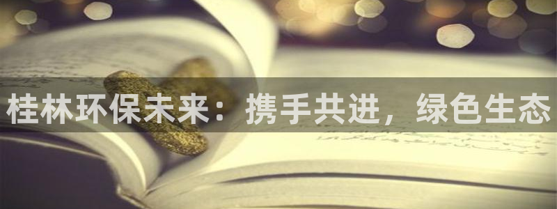 彩名堂加拿大怎么买准确率高：桂林环保