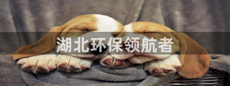 彩名堂预测免费计划怎么看的：湖北环保