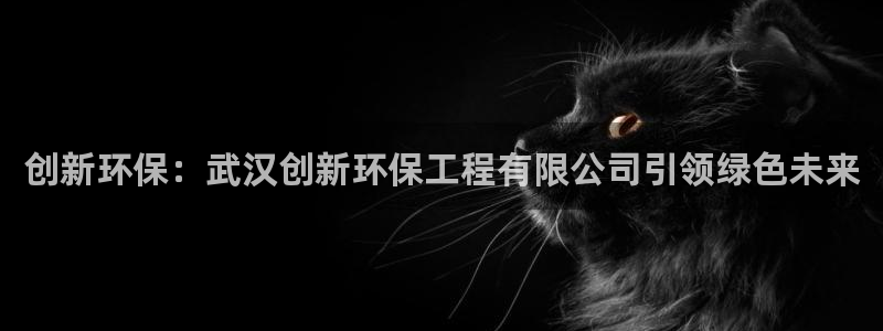 彩名堂免费计划5.0使用方法是什么：创新环保：武汉创新环保工