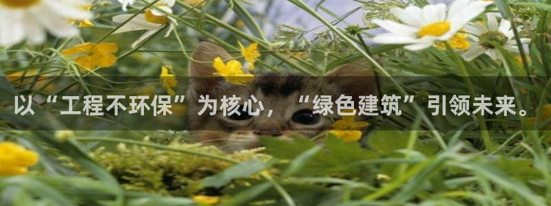 彩名堂官网2：以“工程不环保”为核心，“绿色建筑”引领未来。