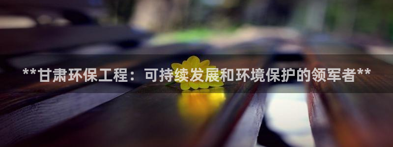 彩名堂全天计划：**甘肃环保工程：可持续发展和环境保护的领军