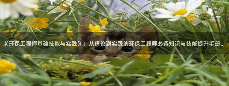 彩名堂计划和01计划怎么很稳：《环保工程师基础技能与实践》：