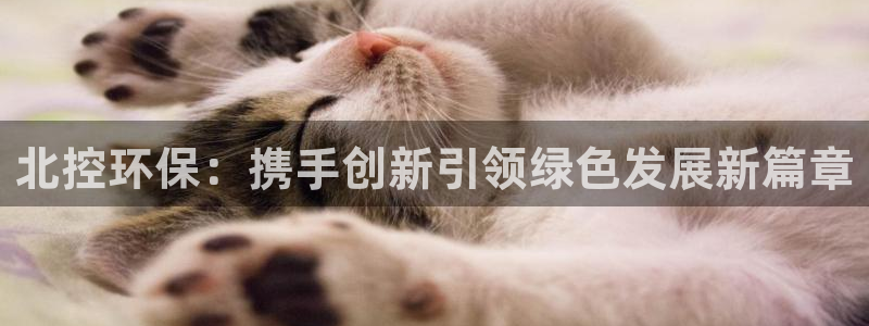 彩名堂app官方网：北控环保：携手创新引领绿色发展新篇章