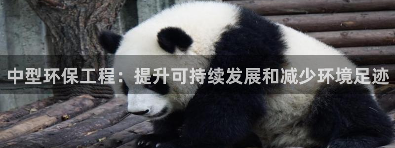 彩名堂手机客户端怎么进不去了：中型环保工程：提升可持续发展和