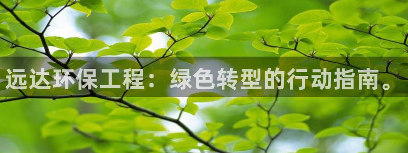 彩名堂客户：远达环保工程：绿色转型的行动指南。